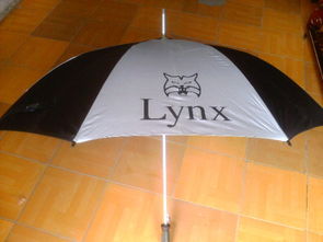 廣告?zhèn)銏D片,廣告?zhèn)愀咔鍒D片 廣東省惠州市惠陽區(qū)秋長(zhǎng)鎮(zhèn)欣嘉雨傘廠,