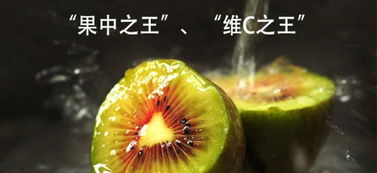 紅心獼猴桃合作社 現摘現發，開啟新鮮水果批發零售新體驗